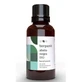 Terpenic Black Fir Ätherisches Öl 30Ml. Bio
