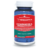 Echinacea Indiana, 60 Kapseln, Herbagetica