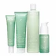Caudalie Vinopure Anti-Akne-Routine