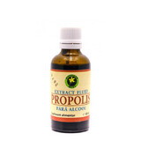 Extract propolis fara alcool, 50 ml, Hypericum