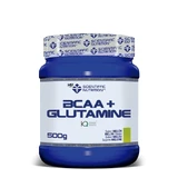 Scientiffic Nutrition Bcaa+Glutamin Melone, 500 g