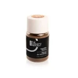The Cosmetic Republic Fibre di cheratina per capelli grigio, 2,5 gr