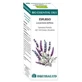Equisalud Bio Essential Oils Olejek eteryczny lawendowy 10 ml