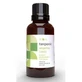 Olio essenziale di Angelica Terpenica 30Ml