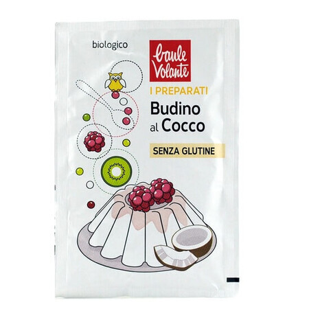 Pudra bio fara gluten pentru budinca de cocos, 30 g, Baule Volante