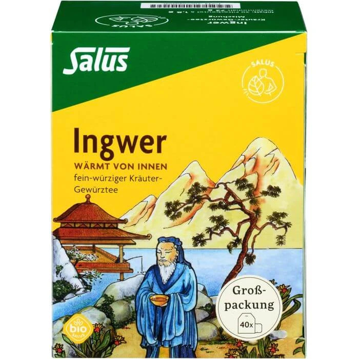 INGWER KRÄUTER-GEWÜRZTEE-Mischung Bio Salus Fbtl. 40 St