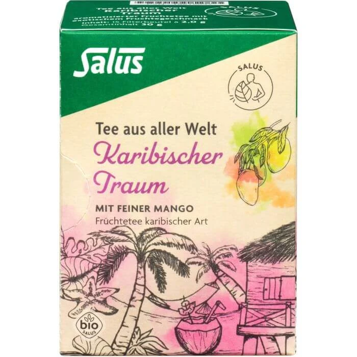 KARIBISCHER Traum Bio Salus Filterbeutel 15 St