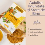 Apielixir Immunität und Wohlbefinden, 20 Ampullen x 10 ml, Albina Carpatina