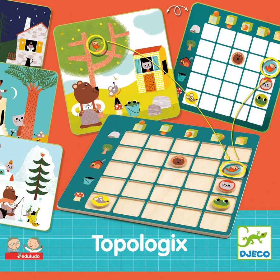 Topologix - Djeco logisch spel