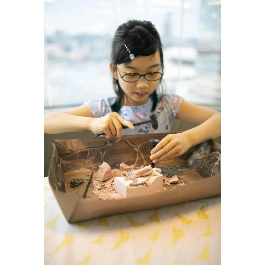 Set educativ Sapa si descopera Dinozauri - Mamut
