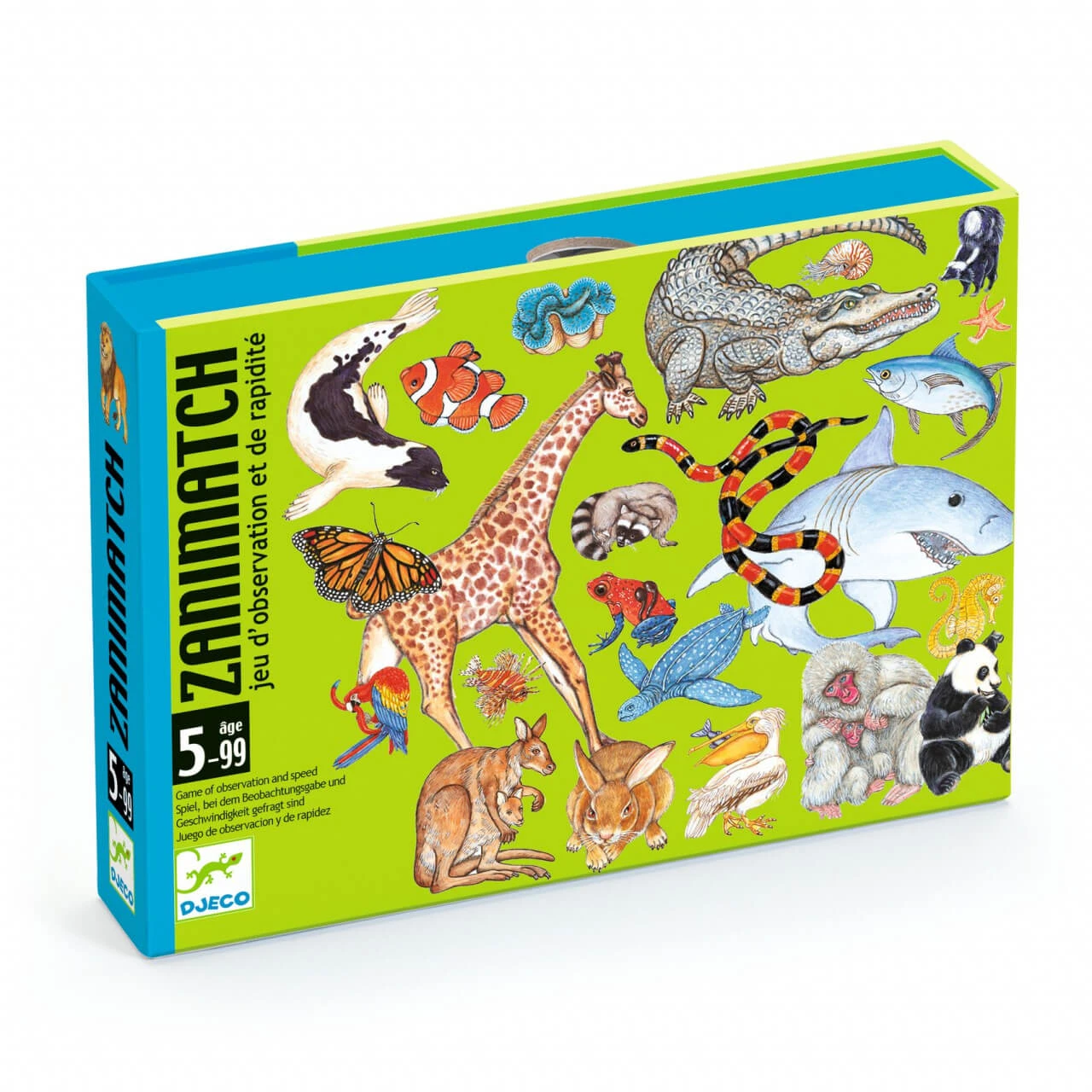 Zanimatch Beobachtungsspiel Djeco