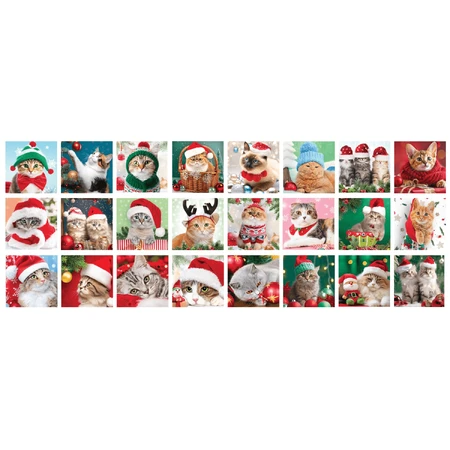 Calendario dell'Avvento Gatti, 24 puzzle, 50 pezzi
