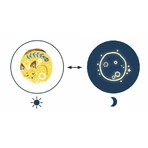 Fluorescent Djeco tattoos, Beautiful dreams