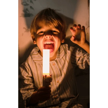 Lampe portable intelligente 3-en-1 - Fox