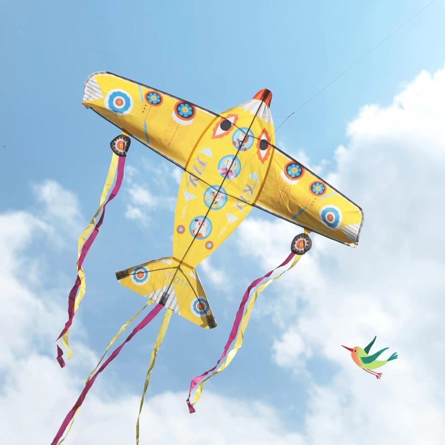 Zmeu Djeco Le plus gros avion