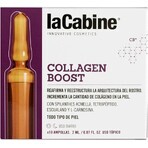 Collagen Boost Haut Ampulle 10 x 2 ml, La Cabine