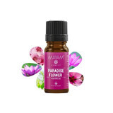 Mayam-Parfüm Paradiesblume M-1531, 10 ml