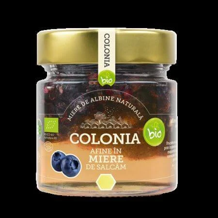 Heidelbeeren in Bio-Akazienhonig, 250g, Köln