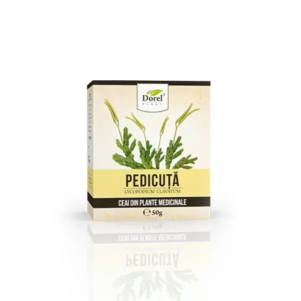 Pedicuta Tee, 50g, Dorel Pflanze