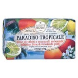 Sapun vegetal Paradiso Tropicale Energizant 250g