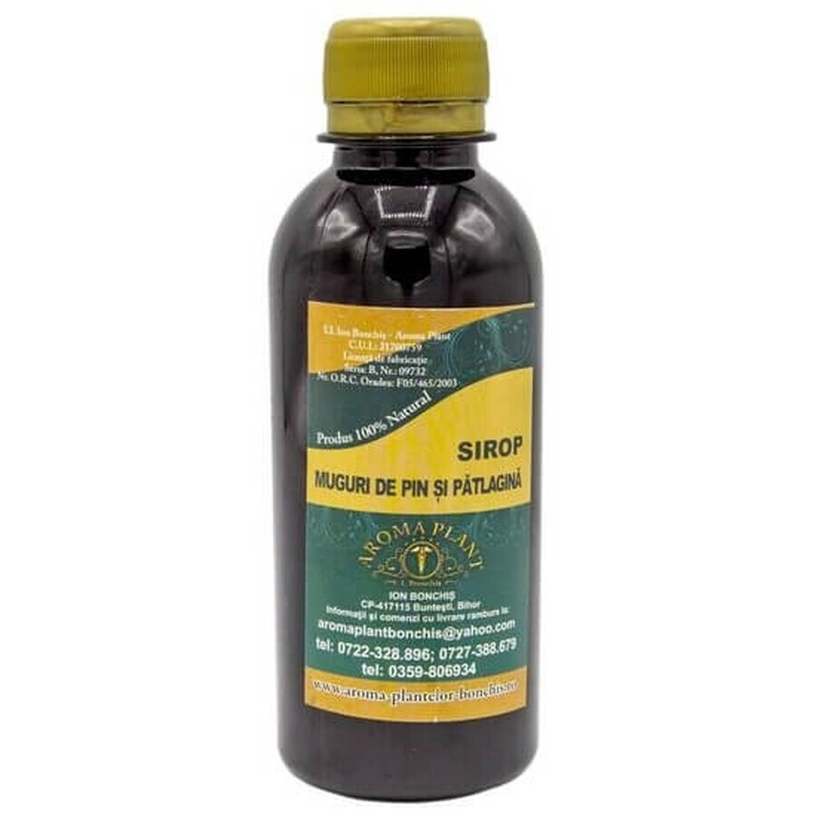 Sirop muguri de pin si patlagina, 200 ml, Aroma Plant