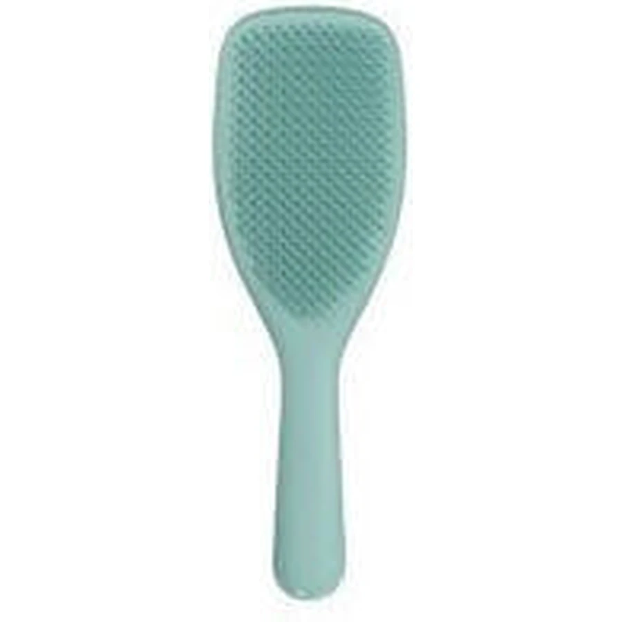 AMBITAS Tangle Teezer Wet Detangling Marine Teal (dimensiune mare) Perie de păr ideală pentru păr gros - creț - lung