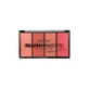 TECHNIC Palette de fards à joues Palette de fards à joues en 4 teintes différentes 20g