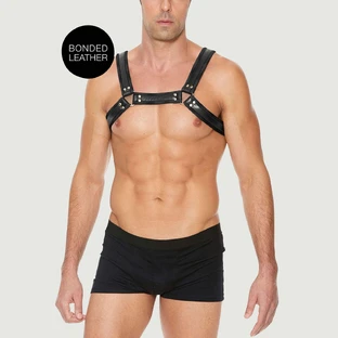 Buckle Bulldog Harnas - Zwart - Klein/Middelgroot