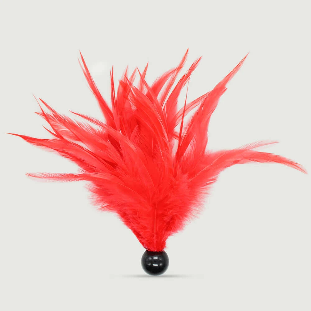 Kleiner roter Federkitzler mit schwarzem Sockel - Rot