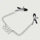 Tepelklemmen met ketting & SLUT label - Zilver