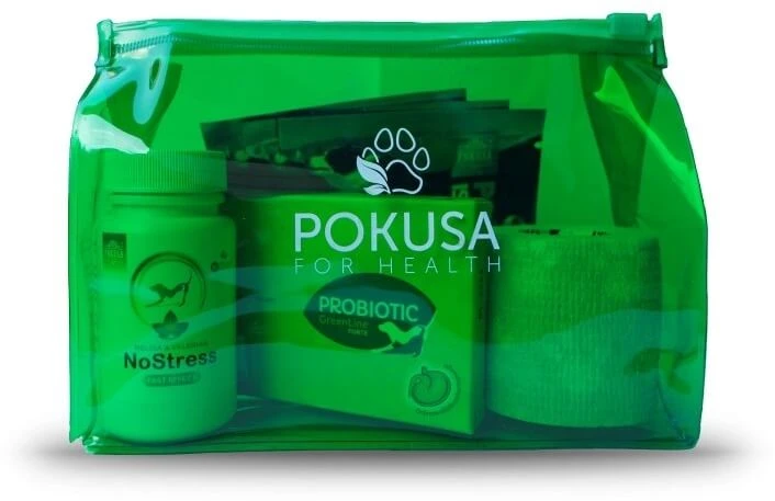Temptation For Health Erste-Hilfe-Set für Hunde + Aktivkohle