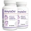 AmylaDol 90 comprimés Multipack × 2