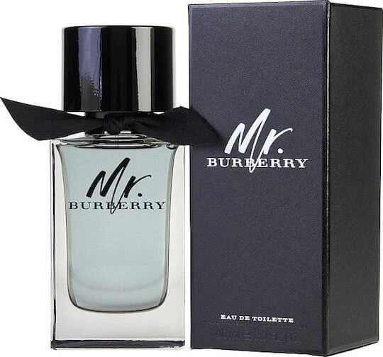 Burberry Mr. Burberry Eau de Toilette 100ml