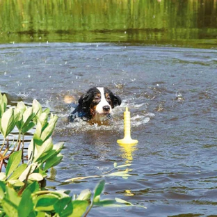 TRIXIE, MOT-Aqua, drijvend apporteerspeeltje voor honden, polyurethaan, 29cm, geel