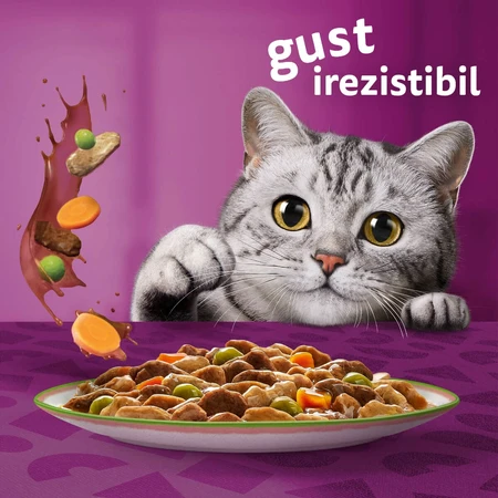 WHISKAS Tasty Mix Chef's Choice, saumon, bœuf, poulet et volaille, poulet et dinde, poulet et morue, sachet de nourriture humide pour chats, (en sauce), multipack, 85g x 12