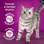 WHISKAS Tasty Mix Chef's Choice, saumon, bœuf, poulet et volaille, poulet et dinde, poulet et morue, sachet de nourriture humide pour chats, (en sauce), multipack, 85g x 12