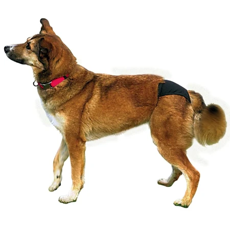 Trixie Chiloti pentru Caini 60-70 cm XL 60-70 cm