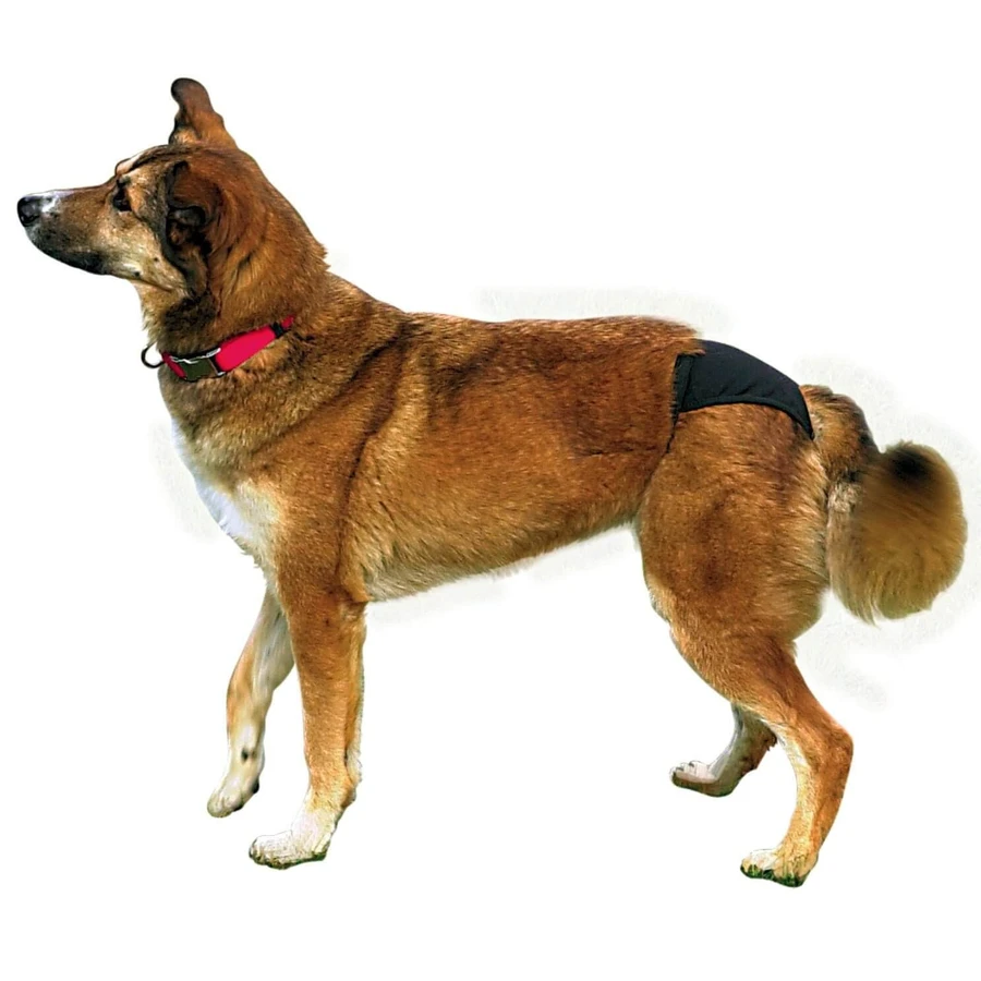 Trixie Chiloti pentru Caini 60-70 cm XL 60-70 cm