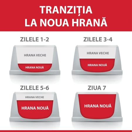 HILL'S Science Plan Kitten Sterilized, Huhn, Trockenfutter für sterilisierte Jungkatzen, 3kg