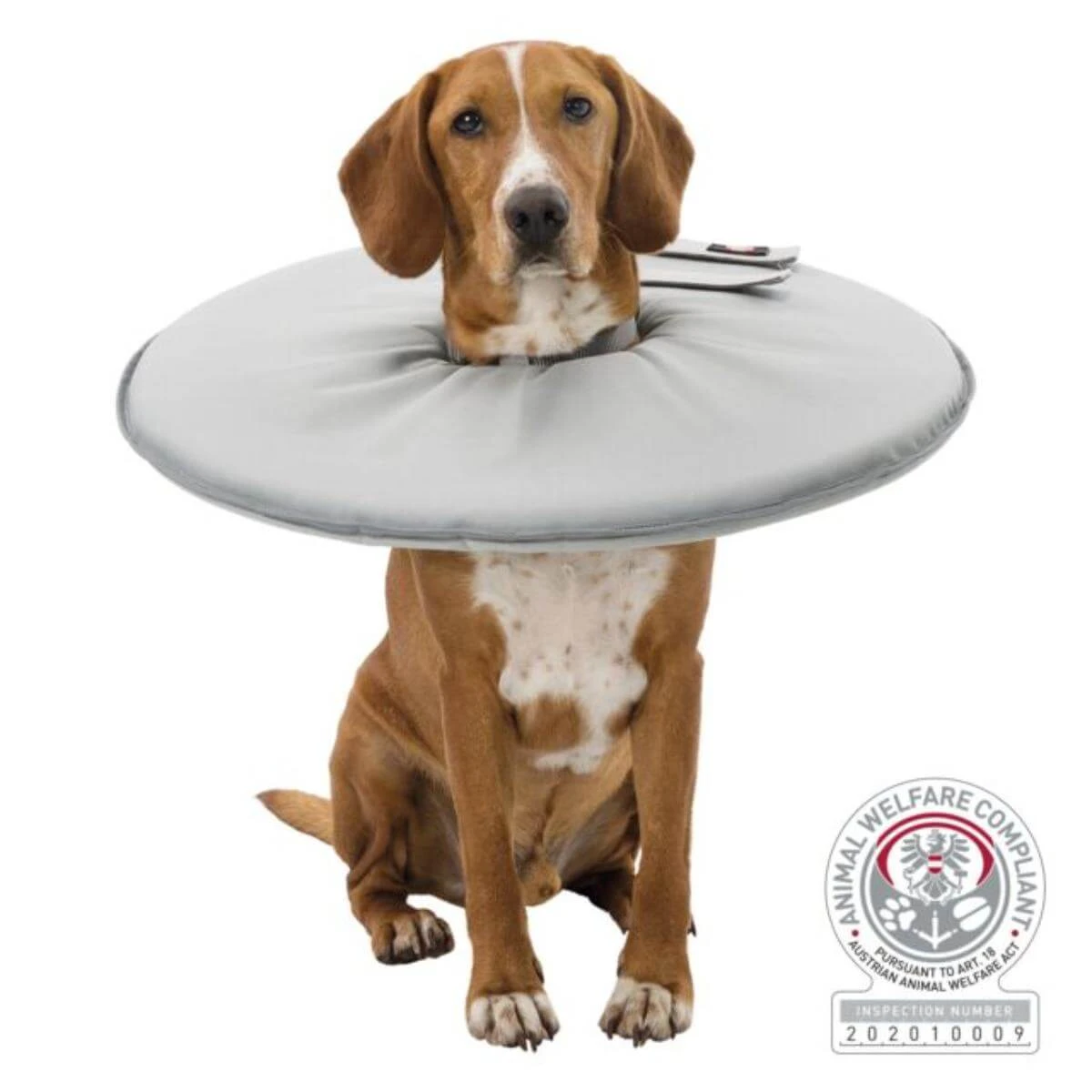 TRIXIE, XS, Schutzhalsband für Hunde und Katzen, Polyester, 23-27x13cm