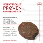 ROYAL CANIN Immunity & Digestion Chews Puppy Supplements, sachet de récompenses fonctionnelles pour chiens juniors, système immunitaire, système digestif, 100g