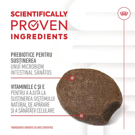 ROYAL CANIN Immunity & Digestion Chews Puppy Supplements, sachet de récompenses fonctionnelles pour chiens juniors, système immunitaire, système digestif, 100g