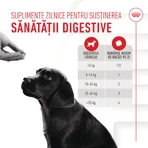 ROYAL CANIN Immunity & Digestion Chews Puppy Supplements, sachet de récompenses fonctionnelles pour chiens juniors, système immunitaire, système digestif, 100g