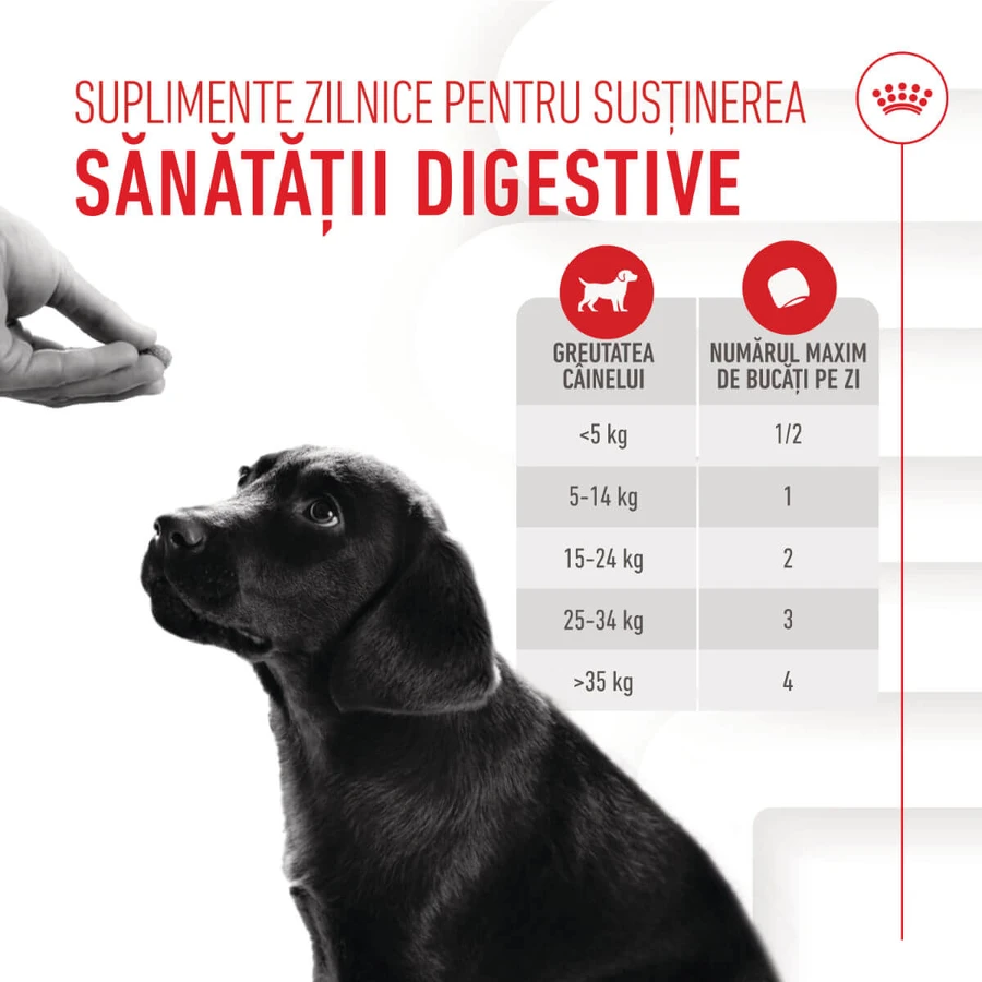 ROYAL CANIN Immunity & Digestion Chews Puppy Supplements, sachet de récompenses fonctionnelles pour chiens juniors, système immunitaire, système digestif, 100g