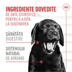 ROYAL CANIN Immunity & Digestion Chews Puppy Supplements, sachet de récompenses fonctionnelles pour chiens juniors, système immunitaire, système digestif, 100g