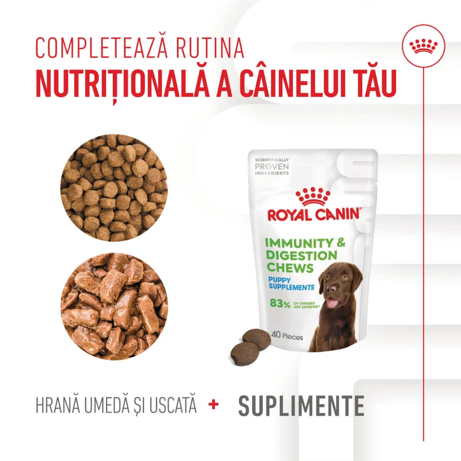 ROYAL CANIN Immunity & Digestion Chews Puppy Supplements, sachet de récompenses fonctionnelles pour chiens juniors, système immunitaire, système digestif, 100g