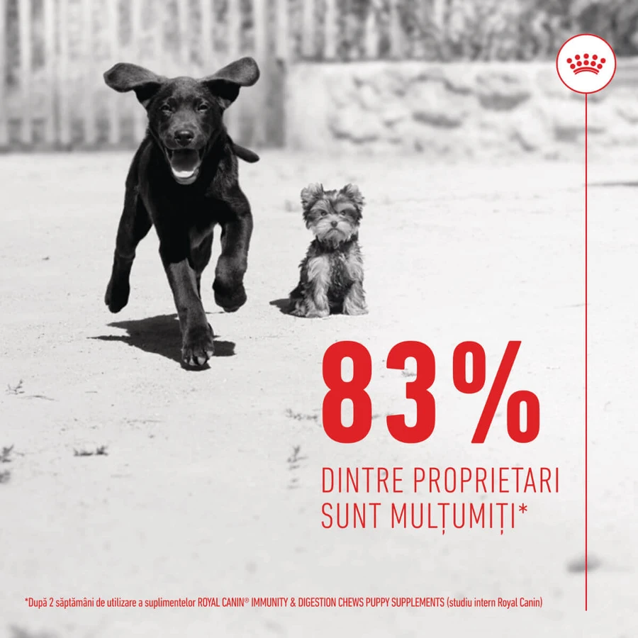 ROYAL CANIN Immunity & Digestion Chews Puppy Supplements, sachet de récompenses fonctionnelles pour chiens juniors, système immunitaire, système digestif, 100g