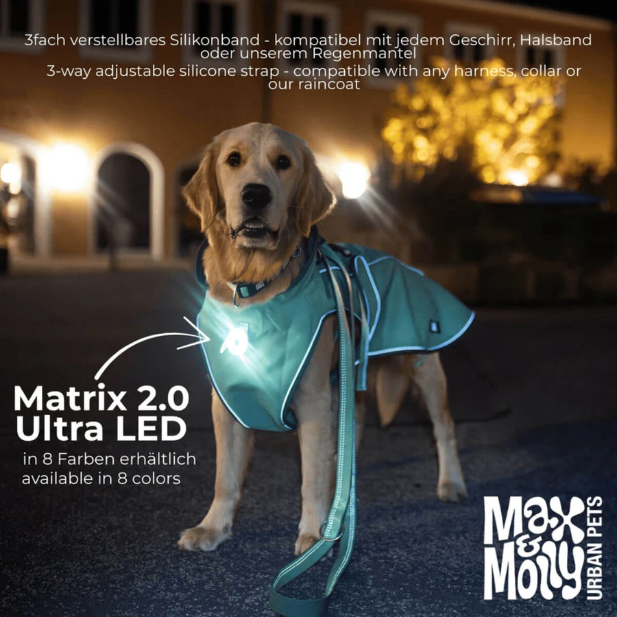 MAX & MOLLY Matrix Ultra Led, accesoriu iluminat câini, negru