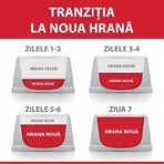 HILL'S Science Plan, Miel, hrană uscată pisici, 3kg