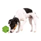 Trixie, verrassingsbal speelgoed honden, natuurrubber, 9cm, multicolor